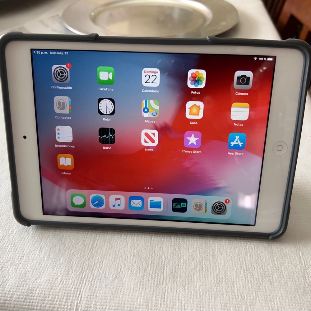iPad mini 2